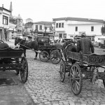 Yaşam- 8